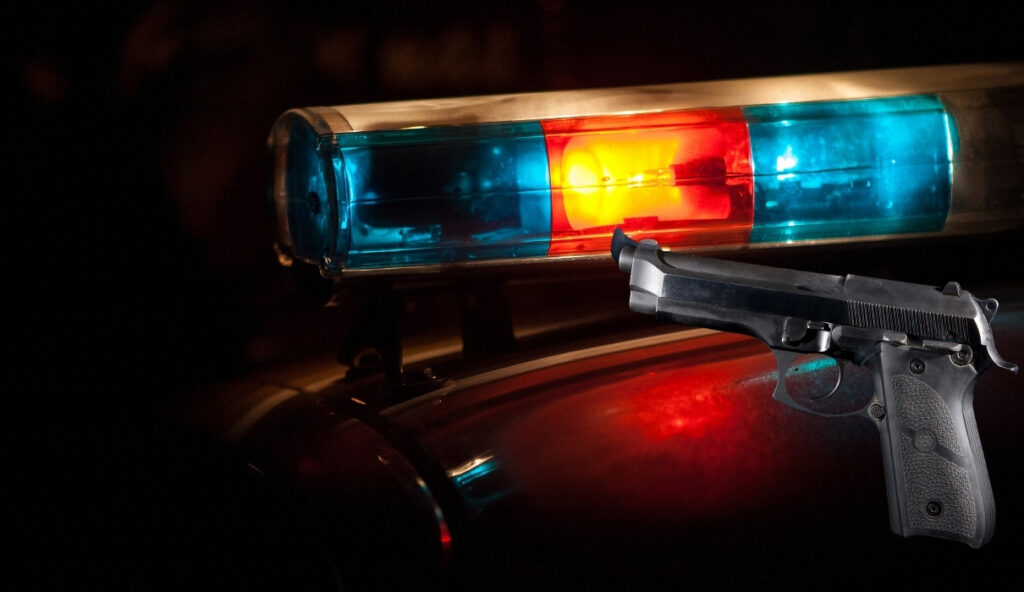 Velika policijska akcija u Lukarima: UKP spasio svet… i pronašao jedan gasni pištolj i lovačku pušku