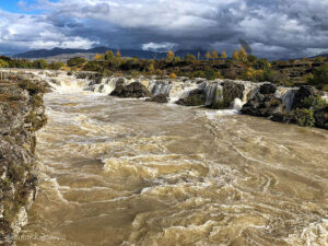 Mladić iz Podgorice spasio žensku osobu iz nabujale rijeke Morače