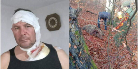 Herojska borba:  Edin Vejzović iz Tareva rukama savladao medvjedicu i preživio napad na Konjuhu